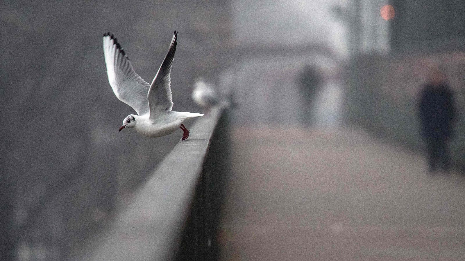 Un frente barrerá la Península de oeste a este y dejará frío, lluvia y nieve