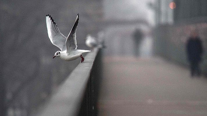 El tiempo - Un frente barrerá la Península de oeste a este y dejará frío, lluvia y nieve