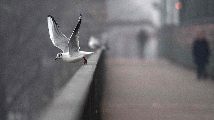 El tiempo - Un frente barrerá la Península de oeste a este y dejará frío, lluvia y nieve