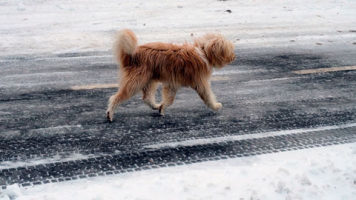 El tiempo - Nieve en Navarra, Aragón, La Rioja, Castilla y León y Pirineo