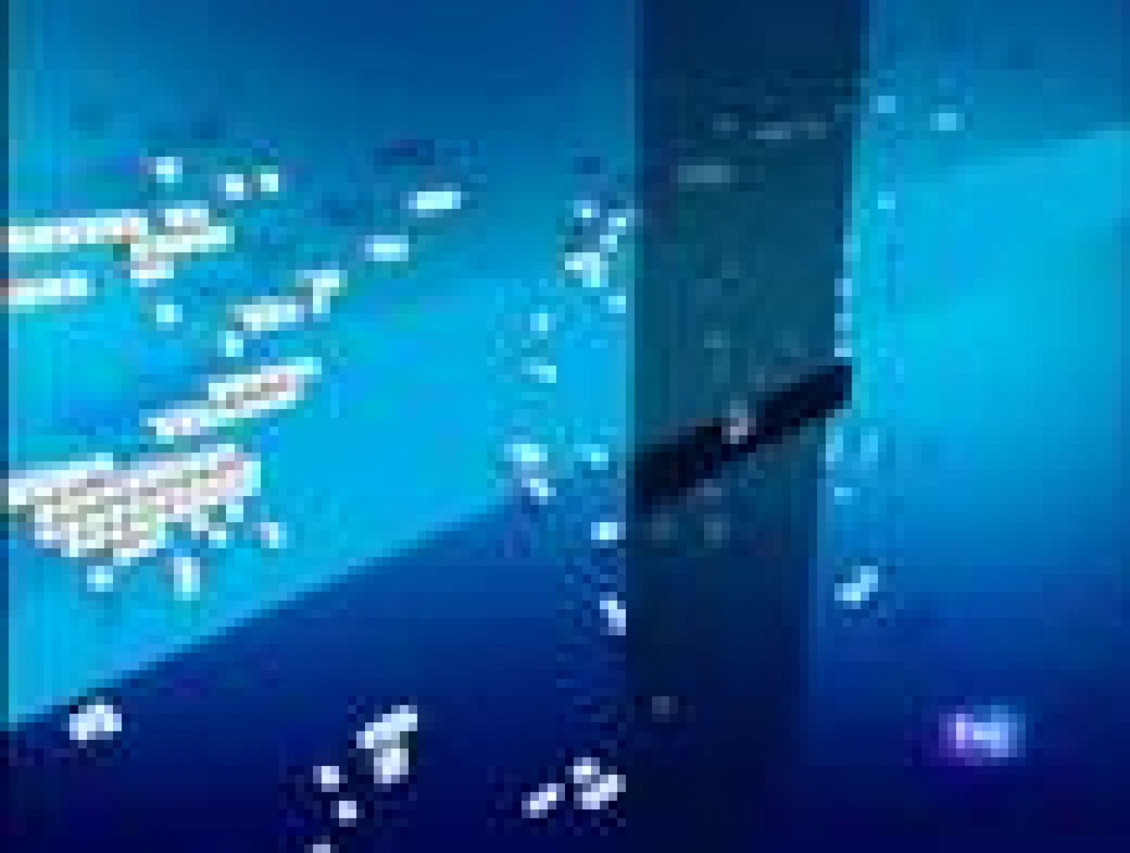 Telediario fin de semana en cuatro minutos - 08/03/09 | Ver