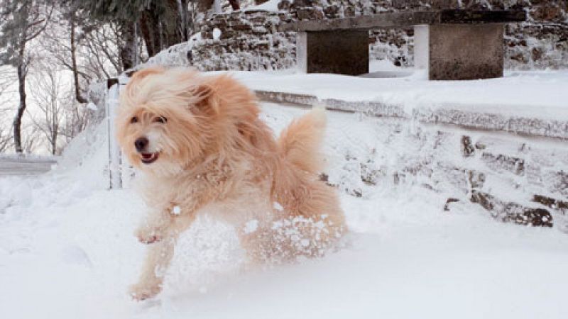 Remite la nieve en toda España y bajan temperaturas en meseta norte