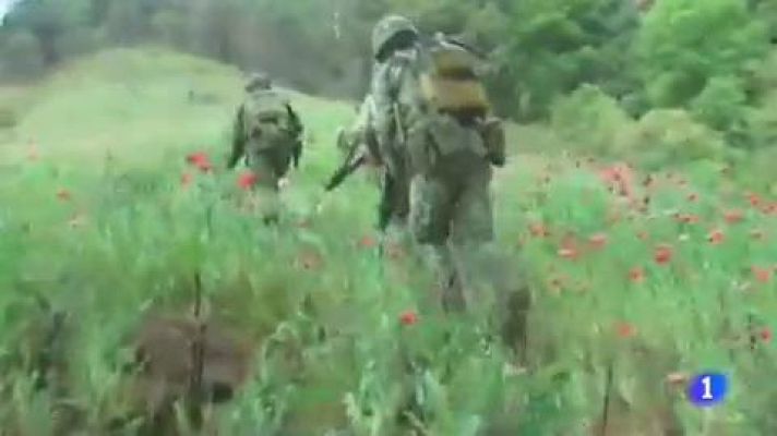 Telediario 1 - Amnistía Internacional denuncia la violencia e impunidad de algunos estados de México