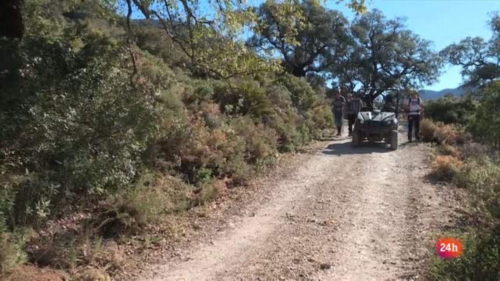 Esta marcha la ha organizado la Federación Andaluza de Montañismo