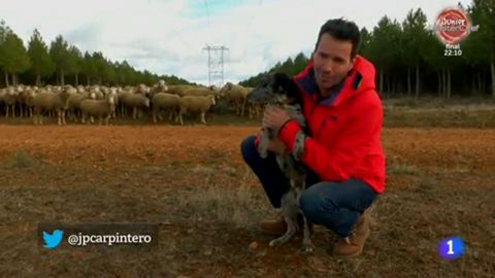Conoce al carea leonés