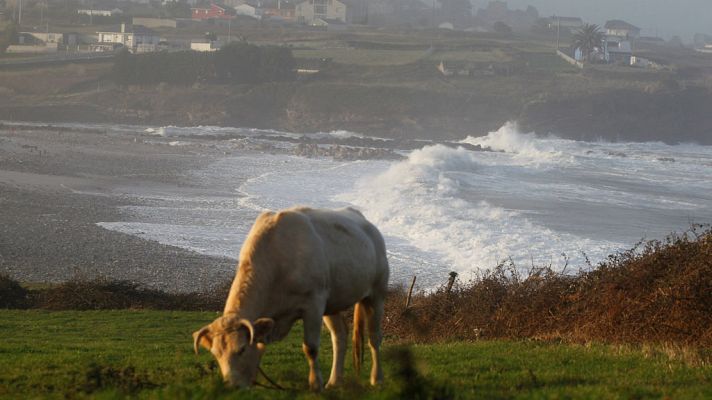Telediario 1 - Telediario 1 en 4' - 18/01/18