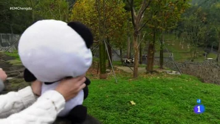 Reserva natural de osos panda