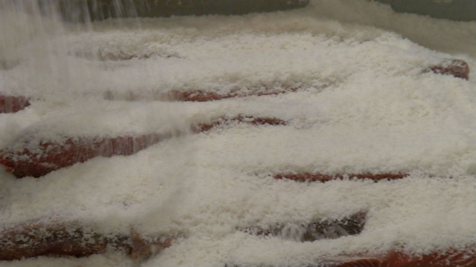 Cartagena, ciudad del salazón