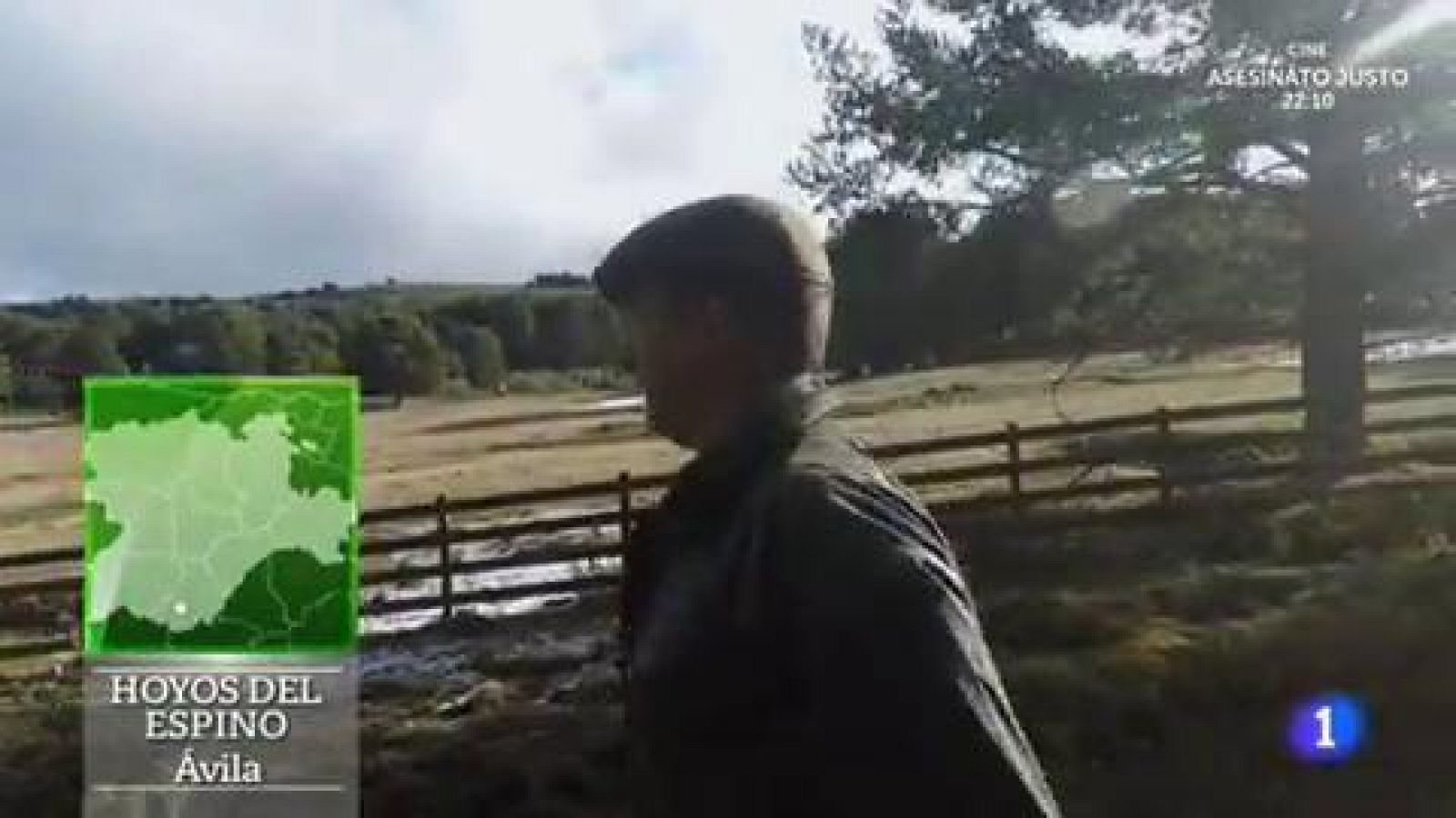 Qué es la trashumancia