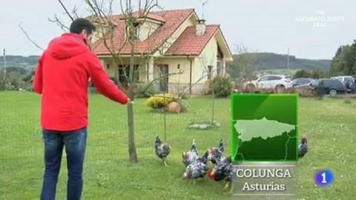 Una gallina ¡más asturiana que la sidra!