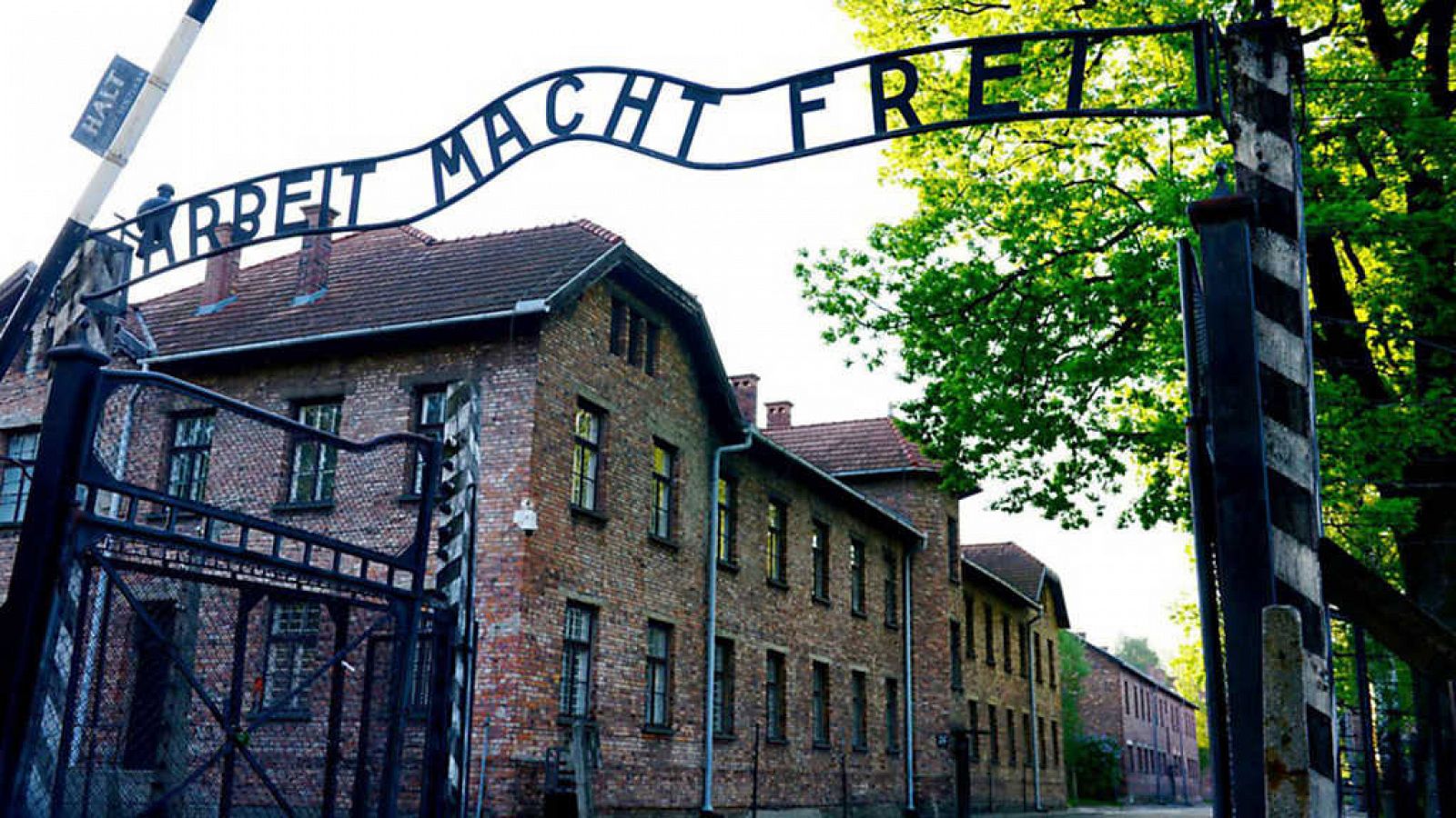 Otros documentales - Tocados por Auschwitz - RTVE.es