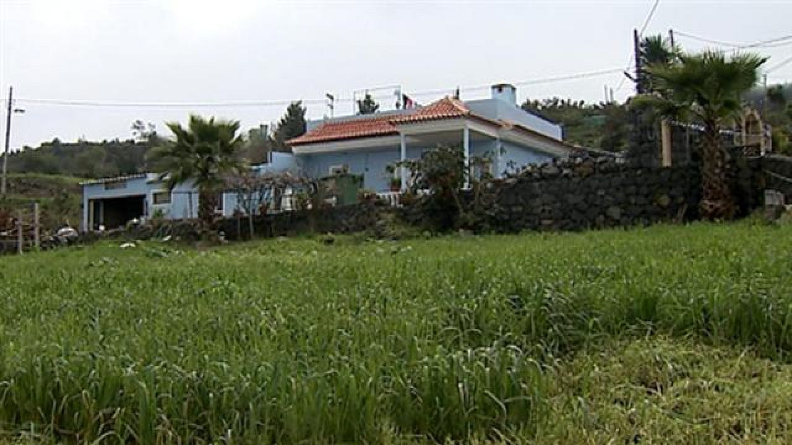 Telecanarias - 20/01/2018 