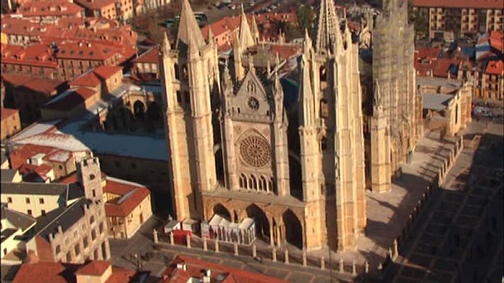 Testimonio - La Pulchra Leonina