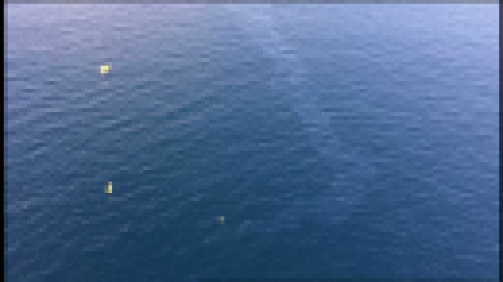 Telecanarias - Telecanarias 2 - 19/01/2017