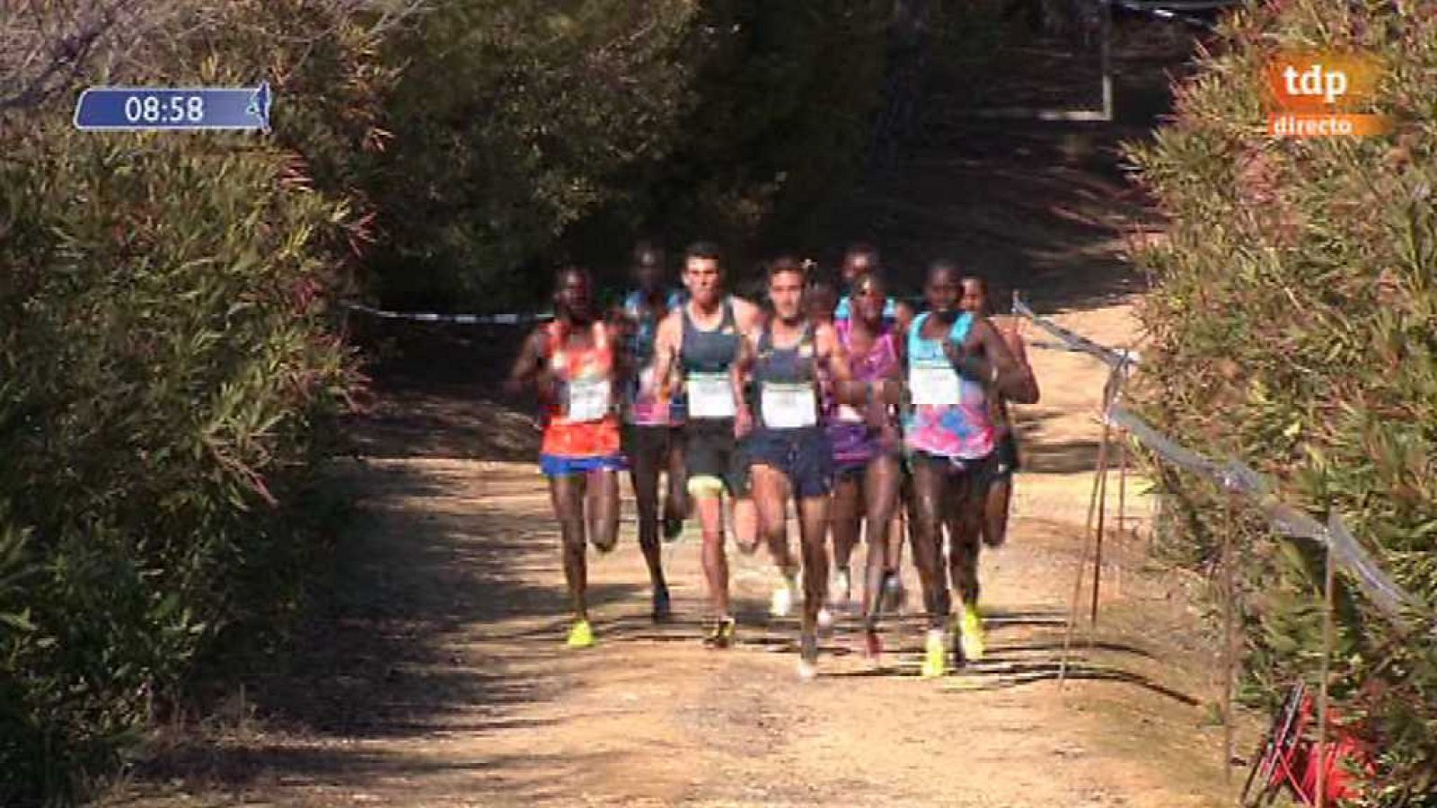 Cross - Internacional de Itálica Carrera Masculina desde Sevilla