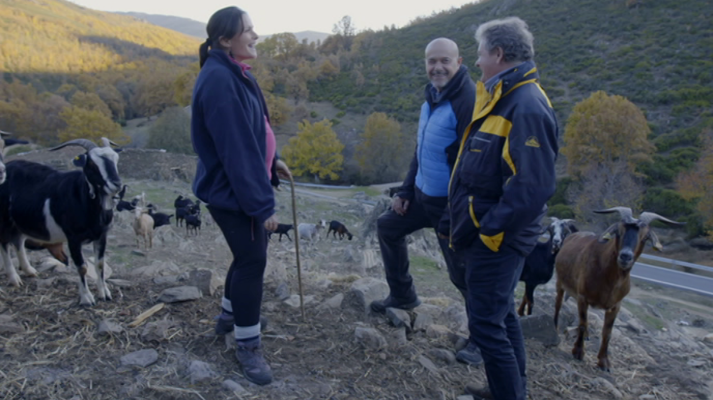 El señor de los bosques - Juan Luis Cano