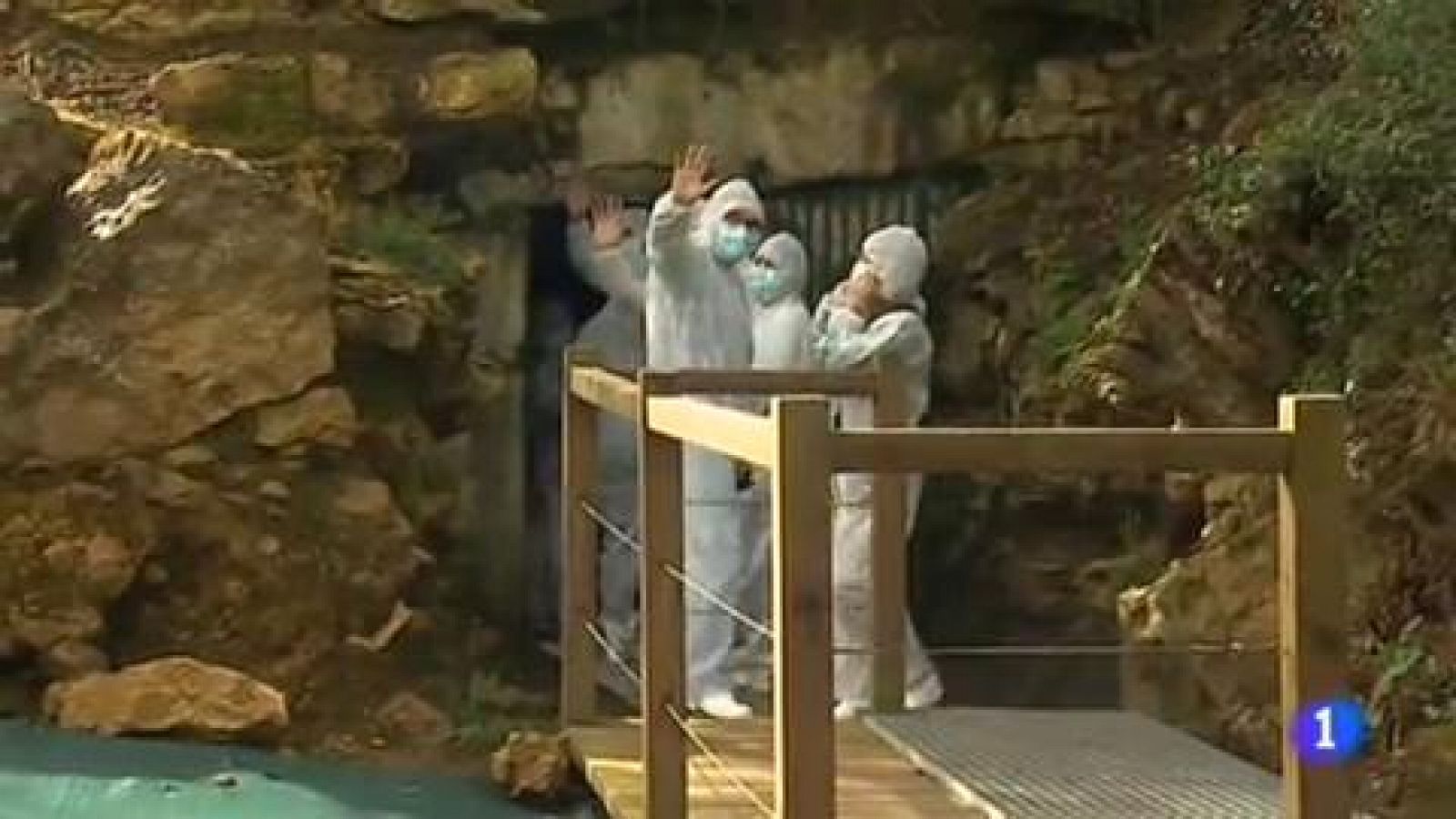 Telediario 1: El cambio en el sistema de visitas controladas a la Cueva de Altamira ha sido beneficioso para la conservación de las pinturas rupestres | RTVE Play