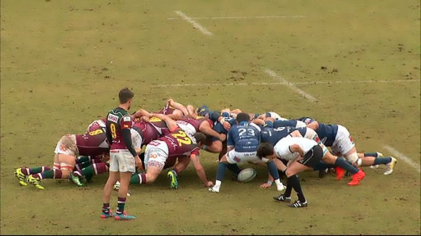 Rugby - Liga División de Honor 15ª jornada: VRAC Valladolid - Alcobendas Rugby