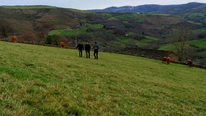 Aquí la Tierra - Un queso pasiego tradicional y ecológico