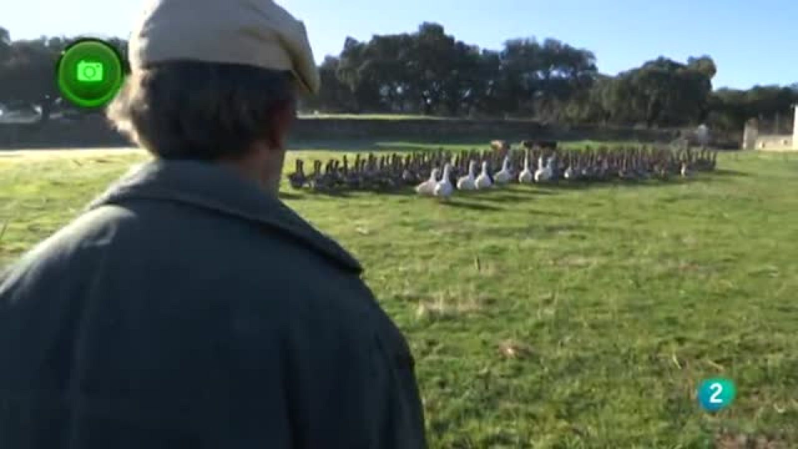 EN CLAVE RURAL CONSTANTINA