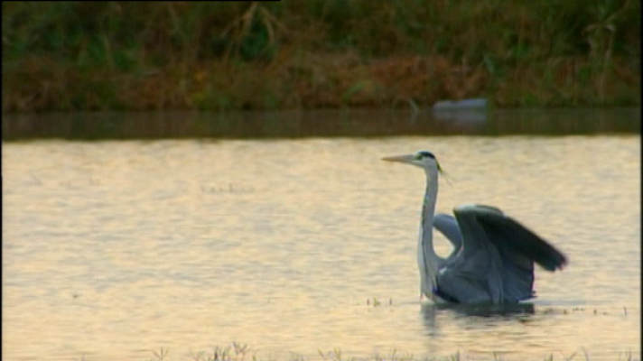 Teleplaneta - Teleplaneta - 22/01/2018