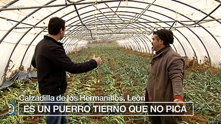 España Directo - España Directo - 23/01/18