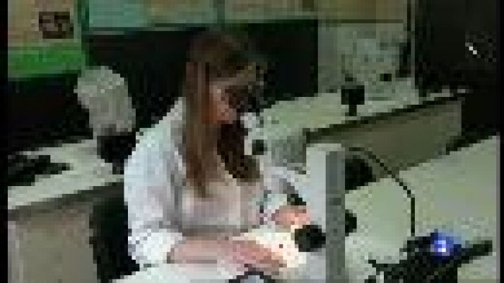 Informatiu Balear - Més dones a la ciència