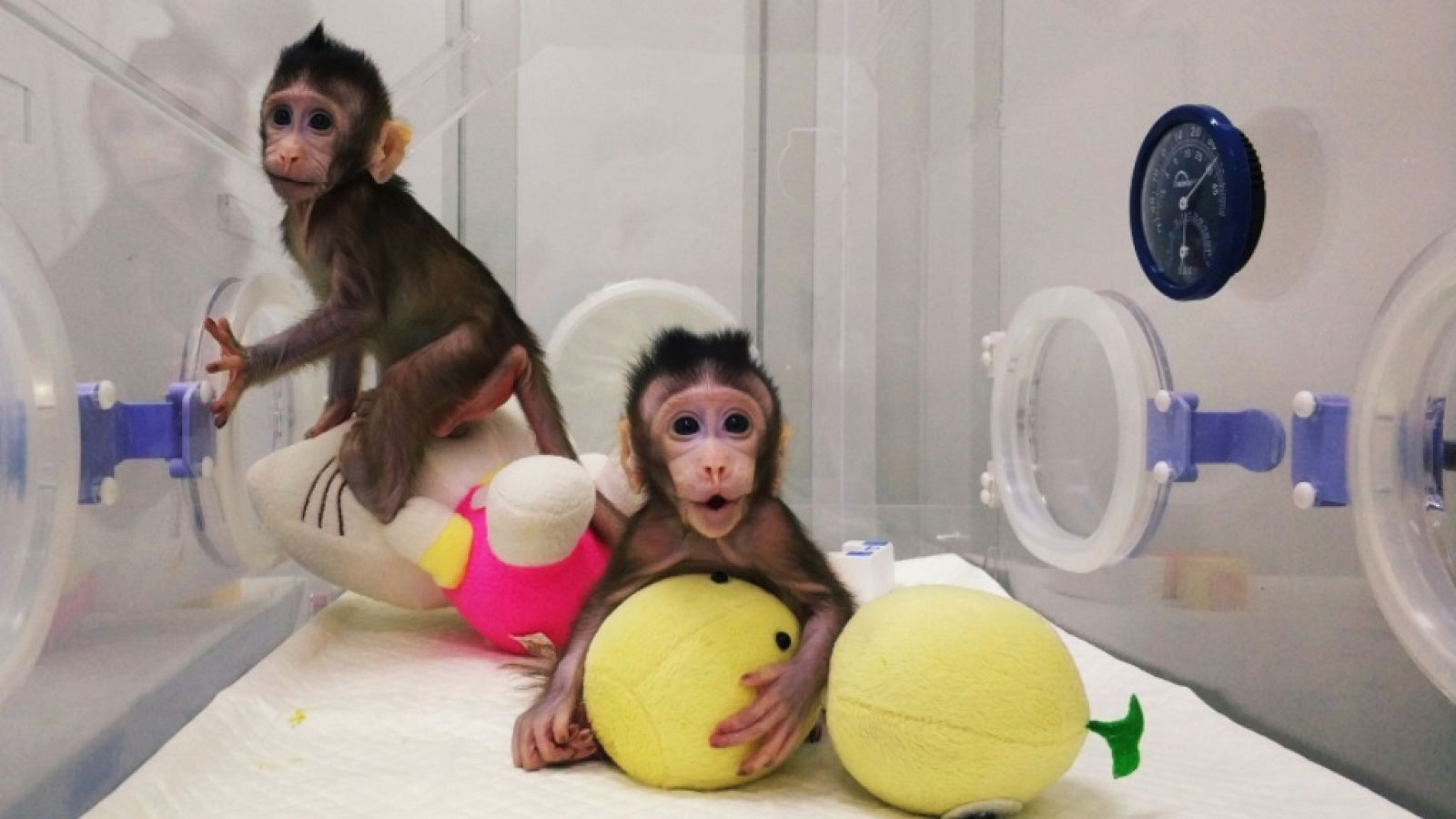 La 2 Noticias - 24/01/18 - ver ahora