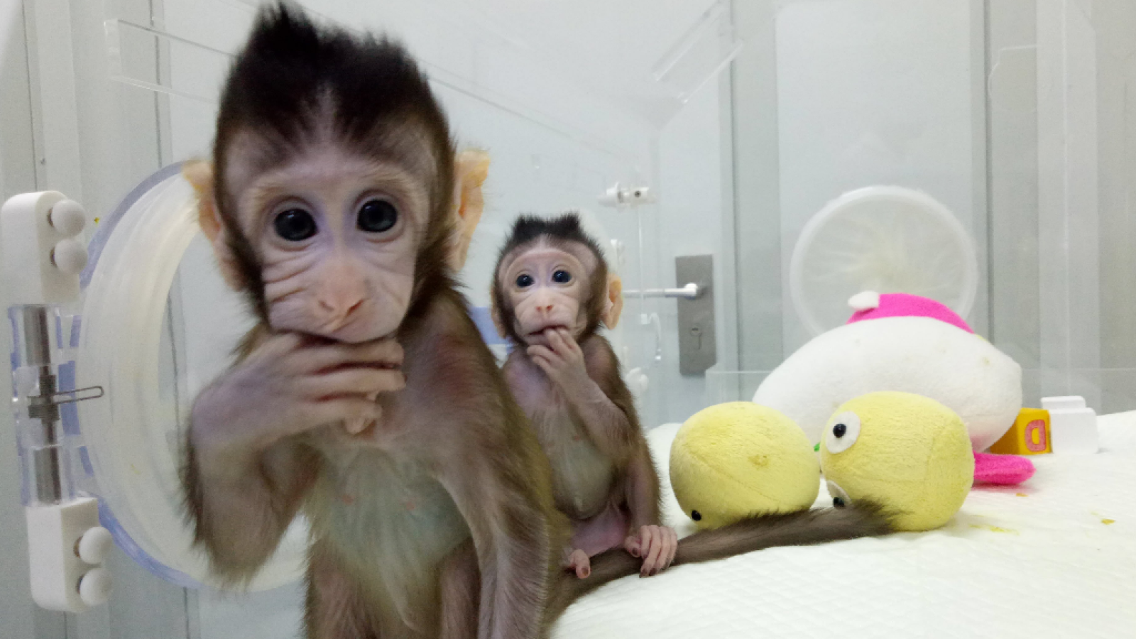 Saber vivir - 25/01/18 - ver ahora