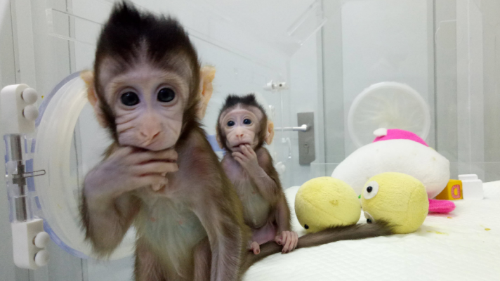 Saber vivir - Saber vivir - 25/01/18