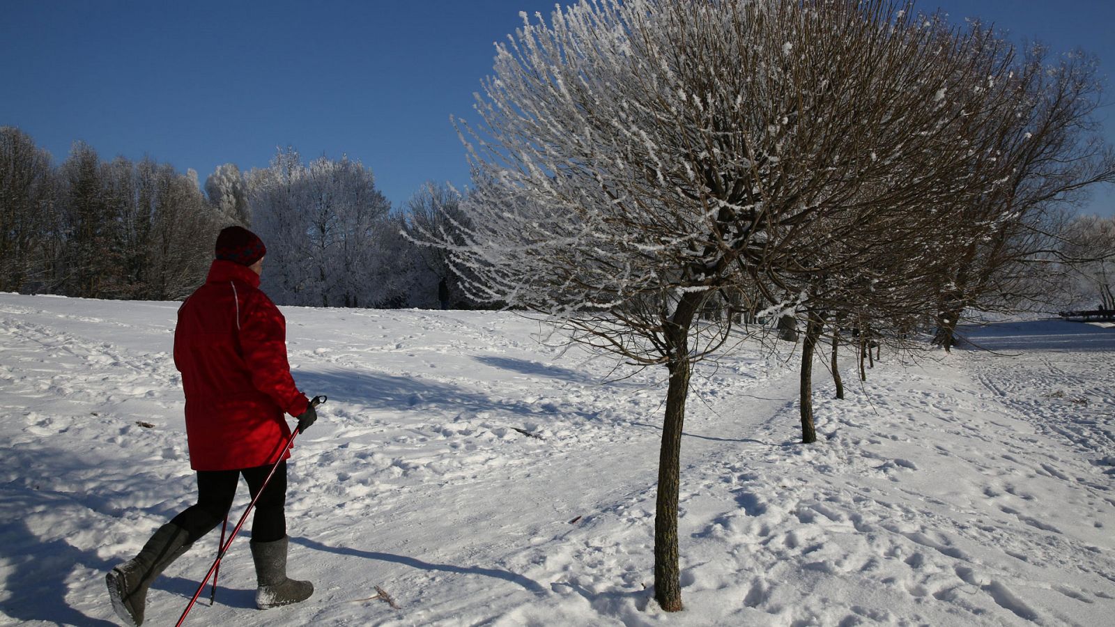 El tiempo de la Comunidad de Madrid - 25/01/18 - Ver ahora