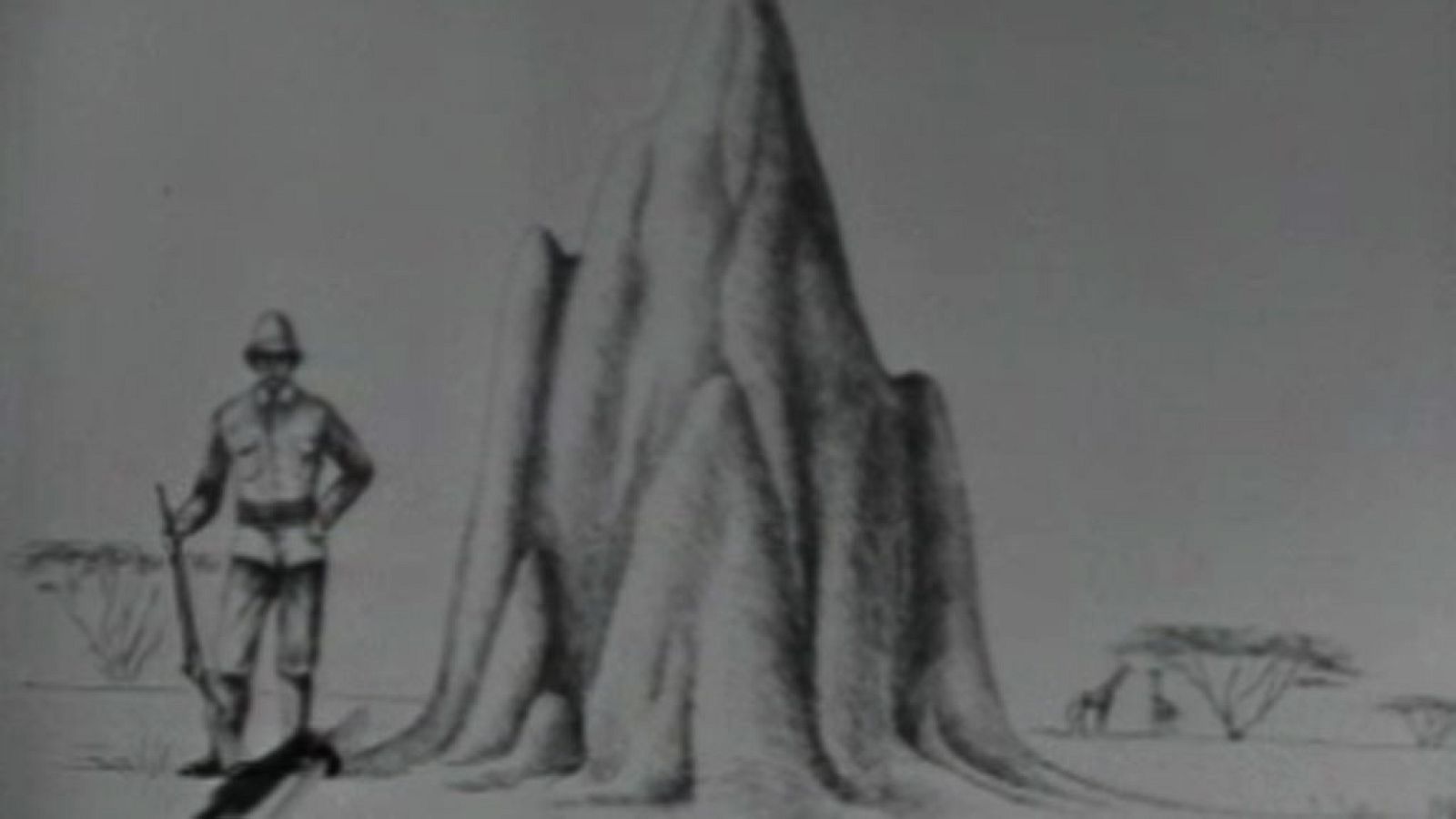 El planeta azul: Solitarios y sociales | RTVE Play