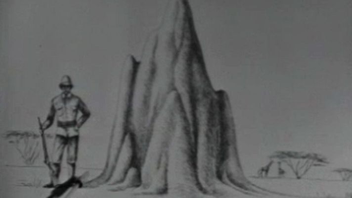 Solitarios y sociales