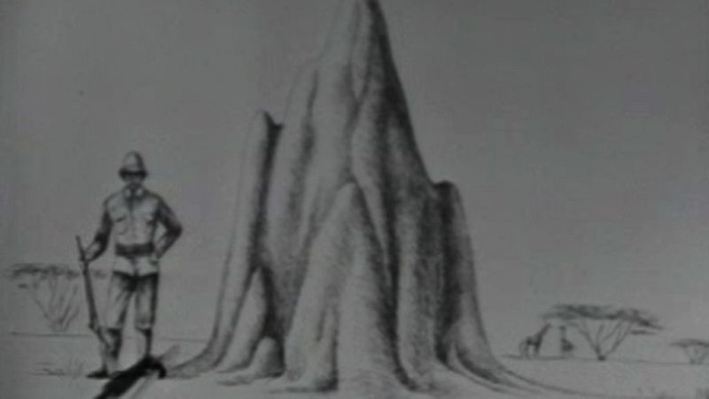  El planeta azul - Solitarios y sociales