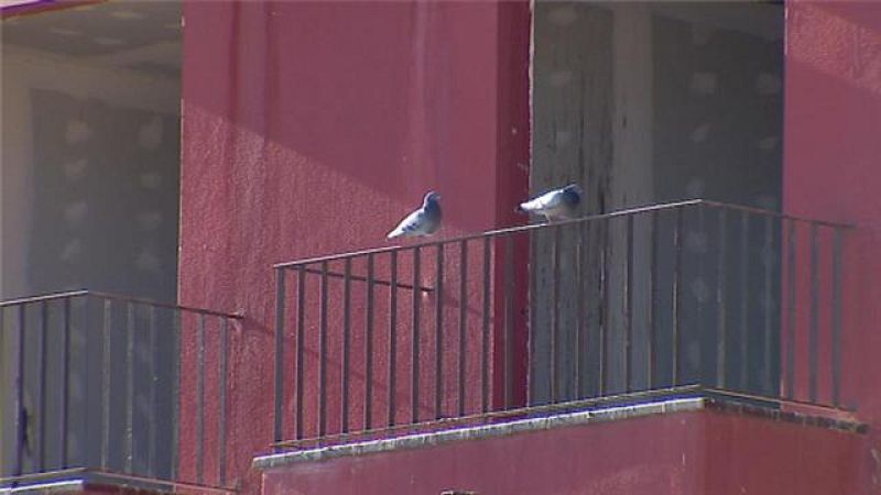 Canarias en 2' - 25/01/2018