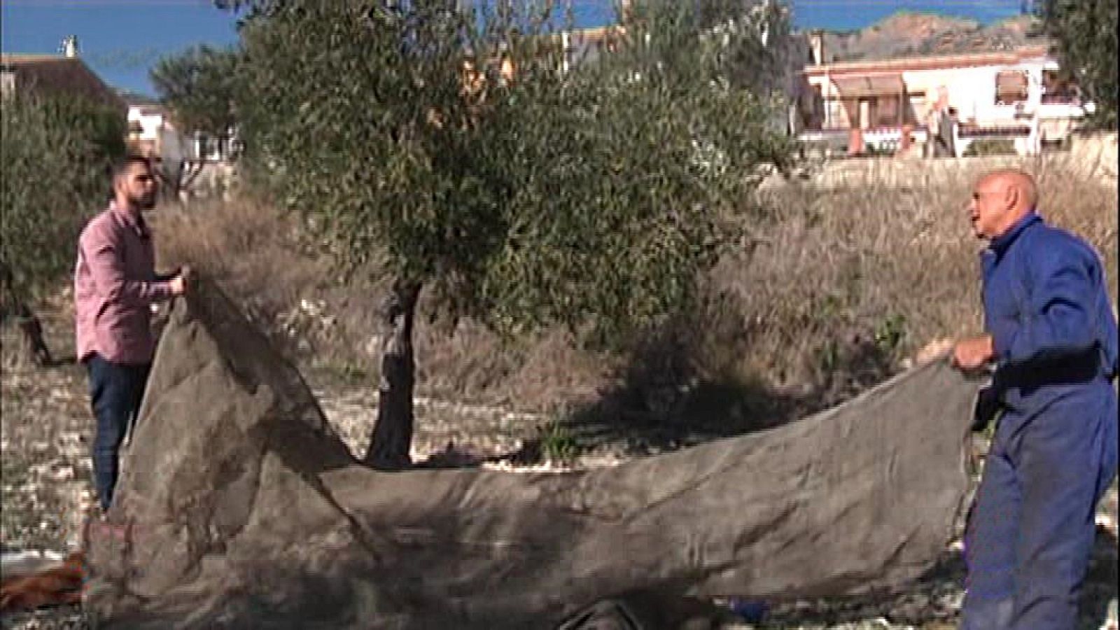 España Directo - 25/01/18 - ver ahora