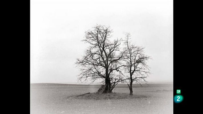 La aventura del Saber - Boek Visual: José Quintanilla