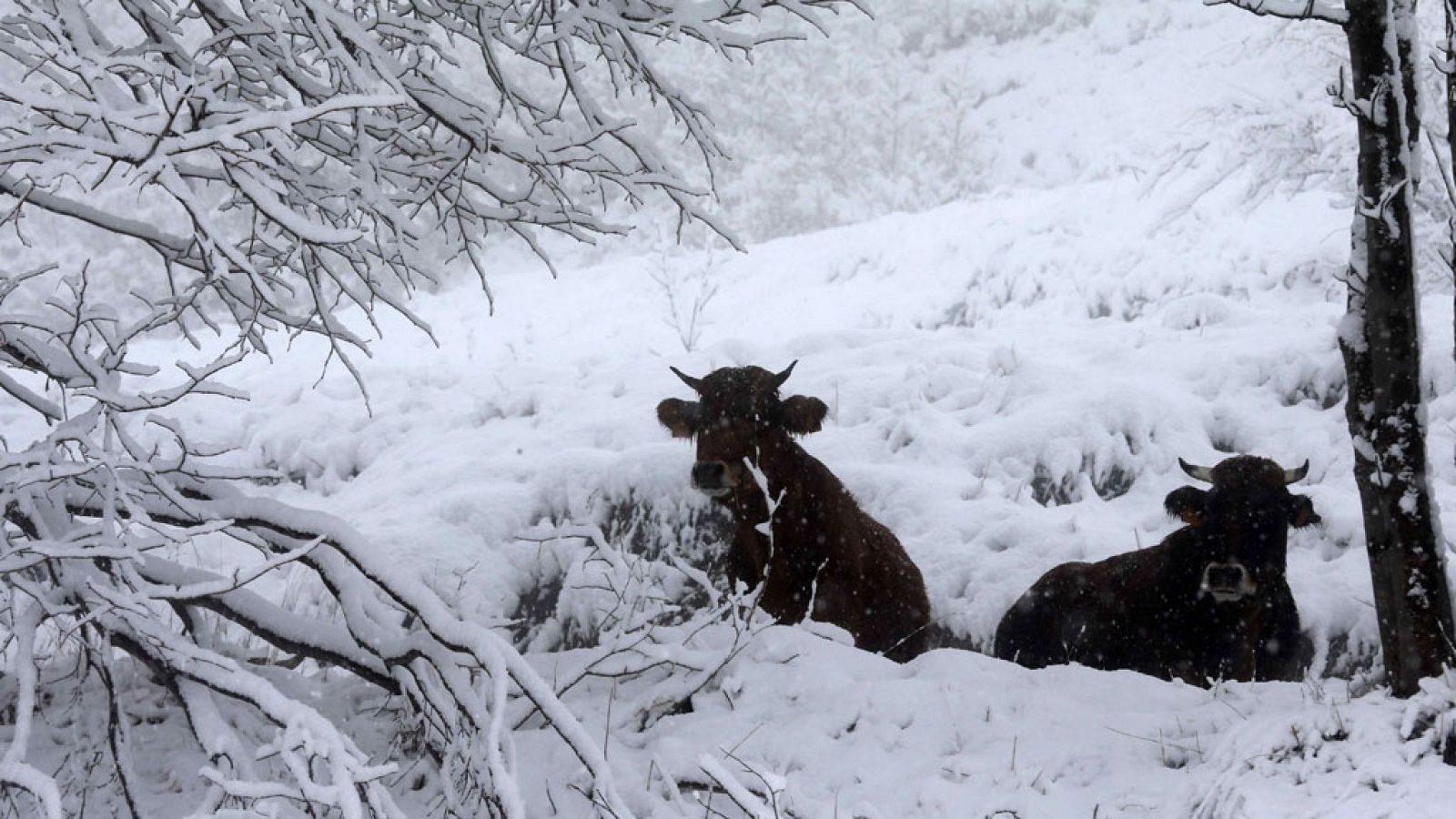 Nevadas en la mitad norte peninsular y vientos fuertes