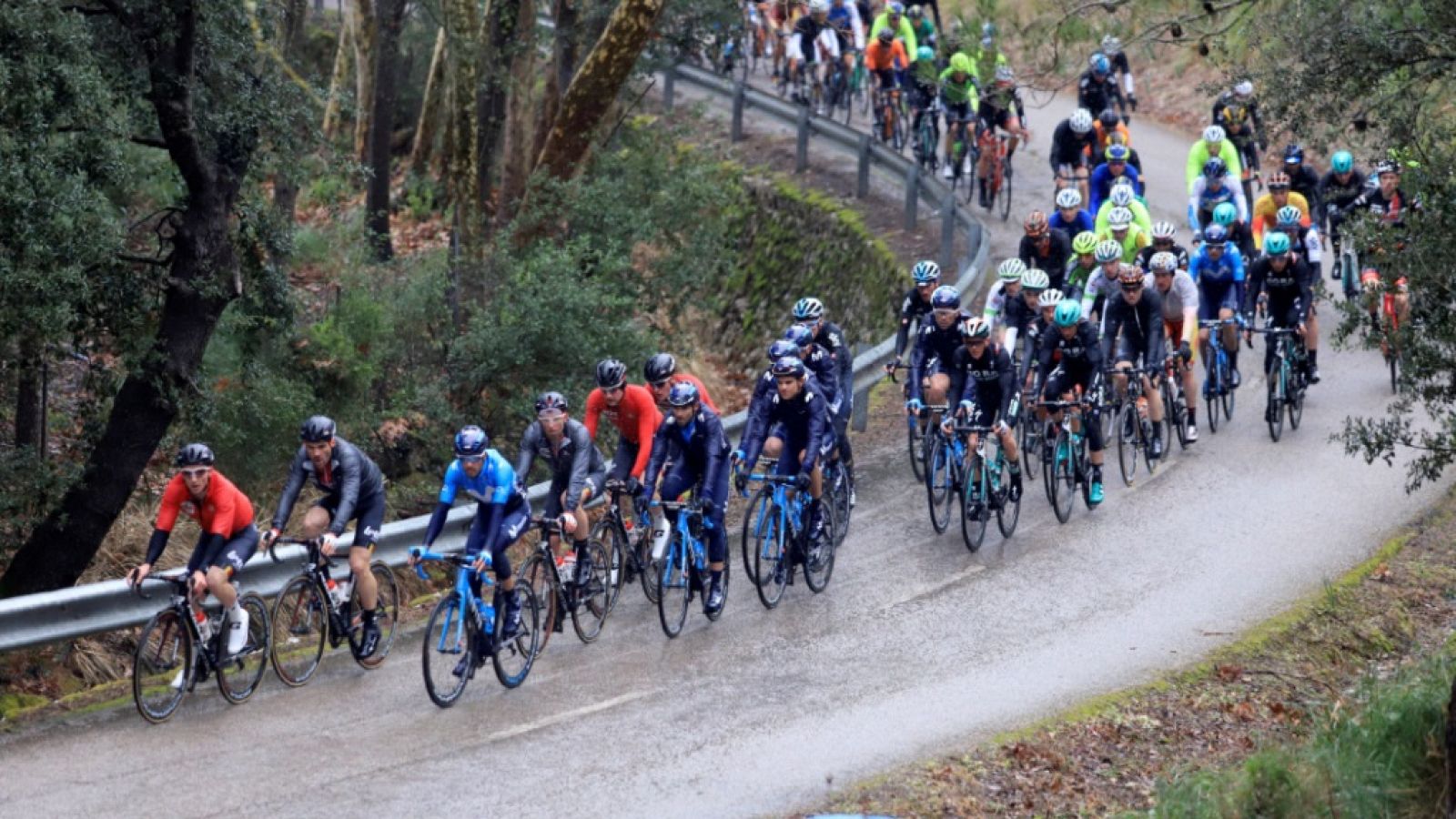 Ciclismo - Challenge ciclista Mallorca, 2ª jornada Trofeo Lloseta - Andratx - ver ahora 