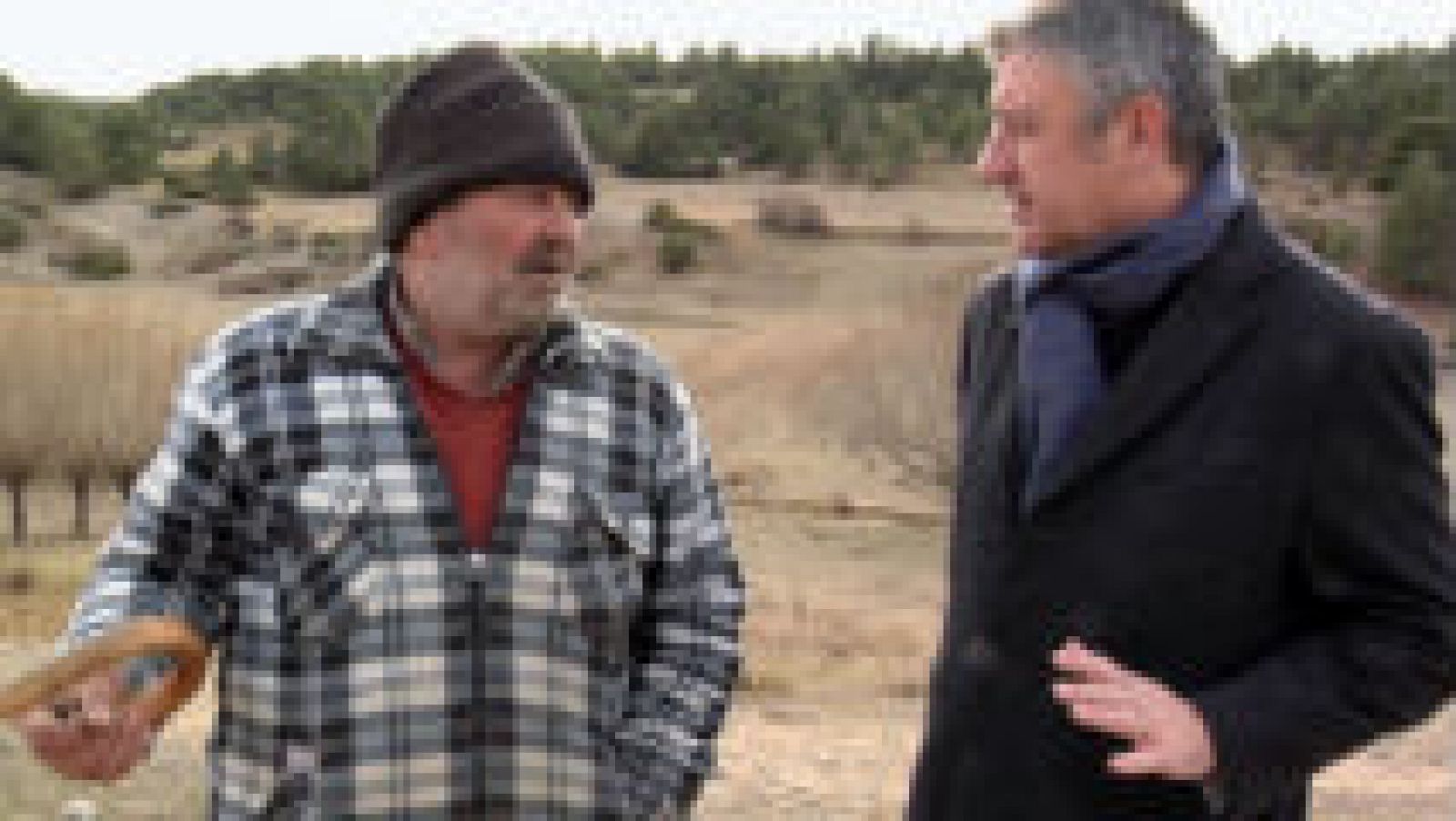 Qué es la trashumancia