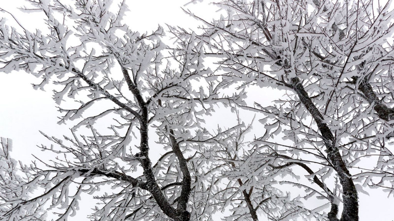 Precipitaciones fuertes en el Levante, Andalucía oriental y Estrecho