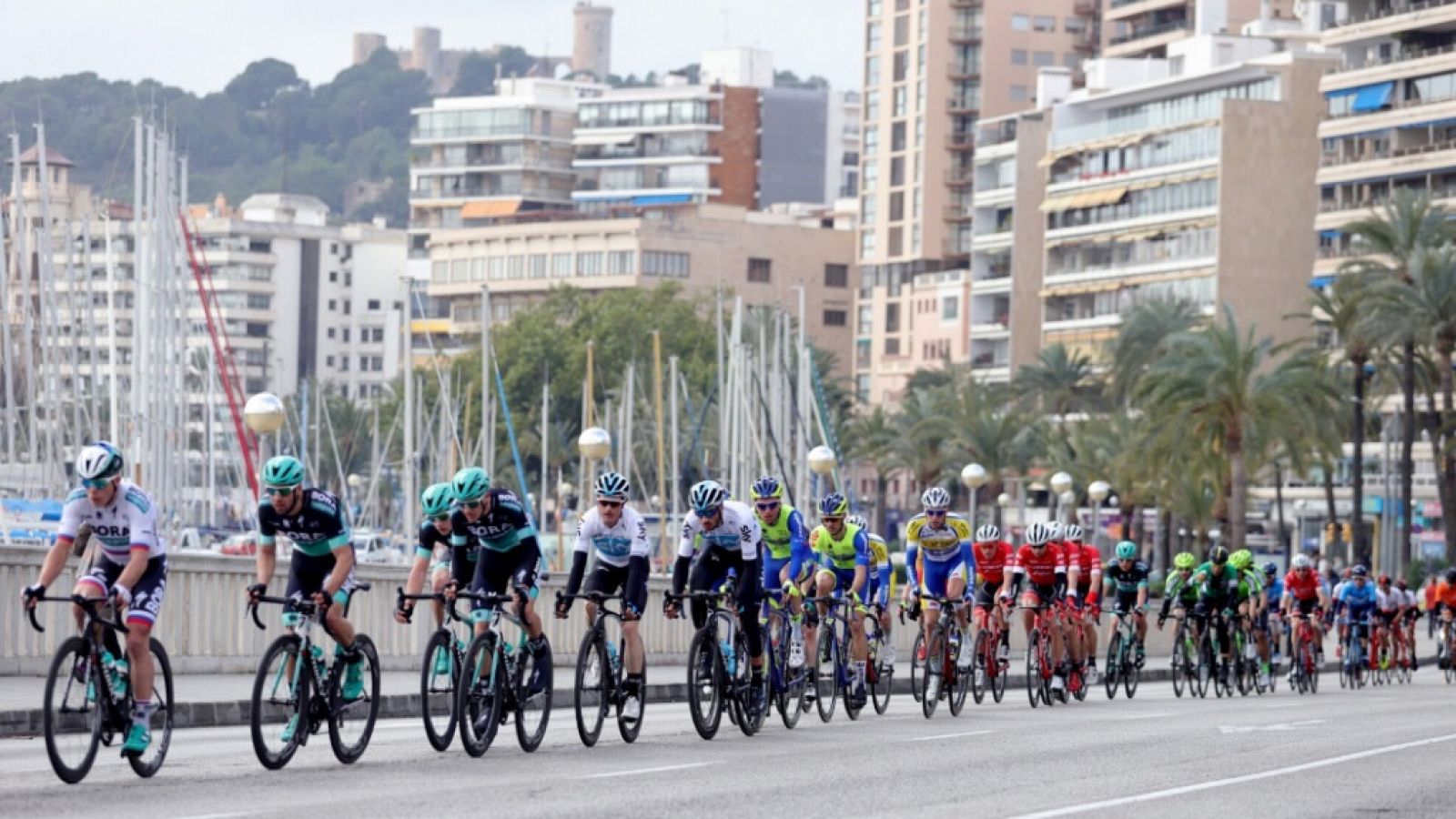Ciclismo: Challenge ciclista Mallorca 4ª j, Trofeo Palma | RTVE Play