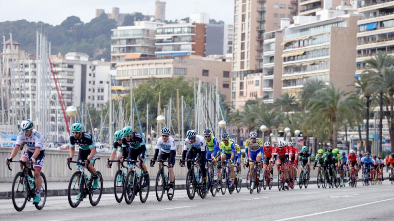Ciclismo - Challenge ciclista Mallorca 4ª jornada Trofeo Palma - ver ahora 