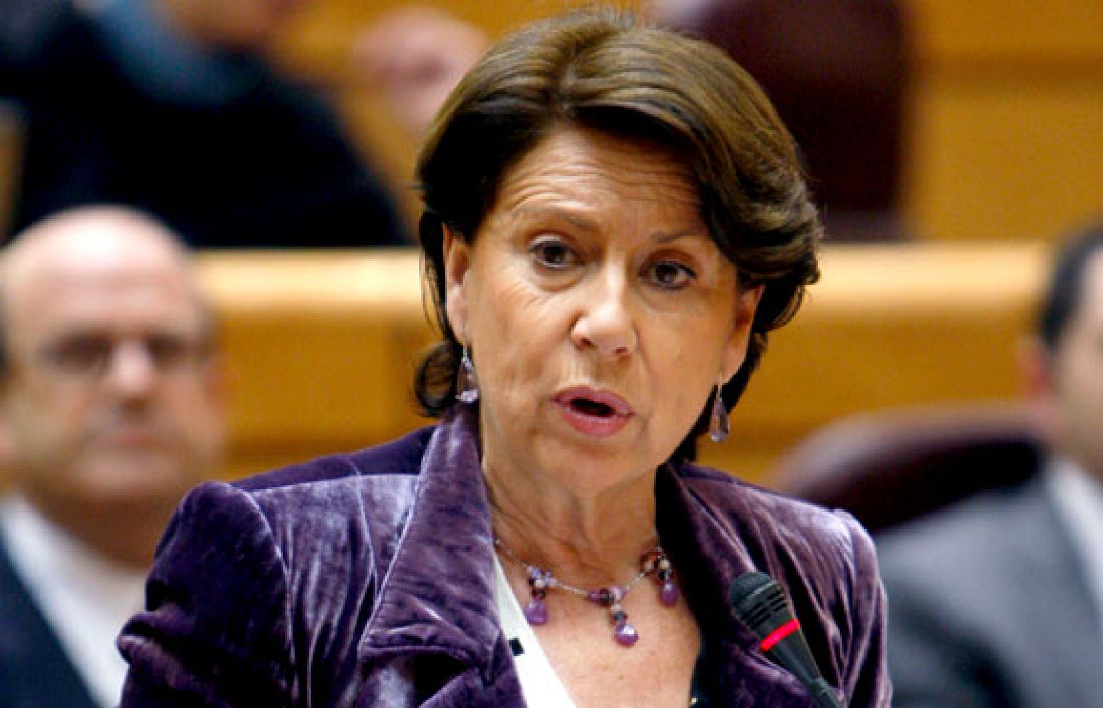 Magdalena Álvarez aclara en el Senado las razones de su reciente viaje a Rusia | Ver