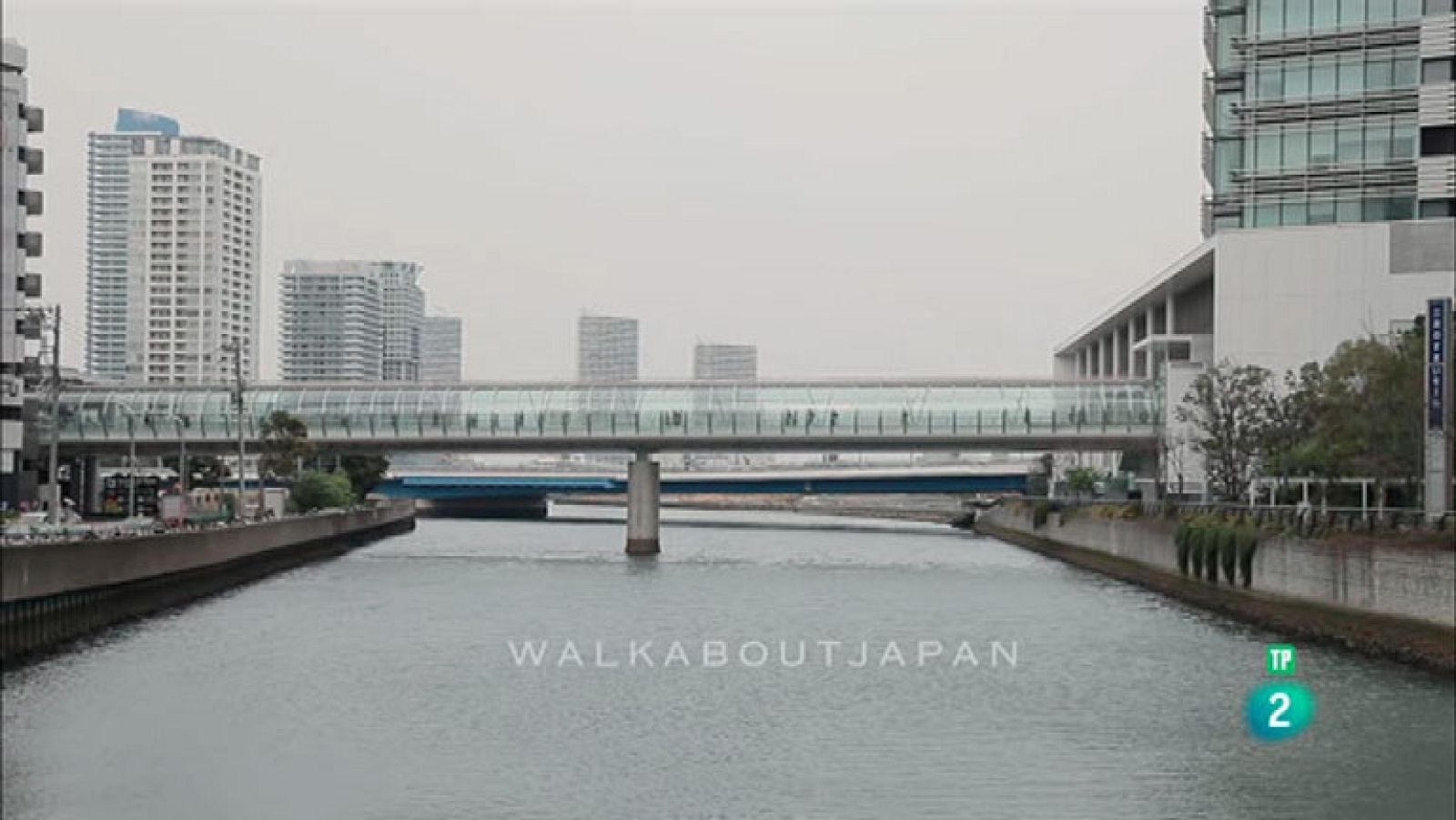 La Bolsa: José Manuel Pedrajas