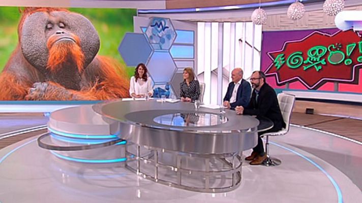 Saber vivir - Saber vivir - 29/01/18