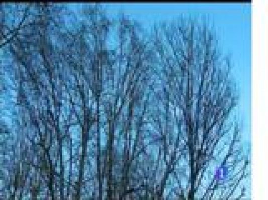 Panorama Regional - El tiempo en Asturias - 29/01/18