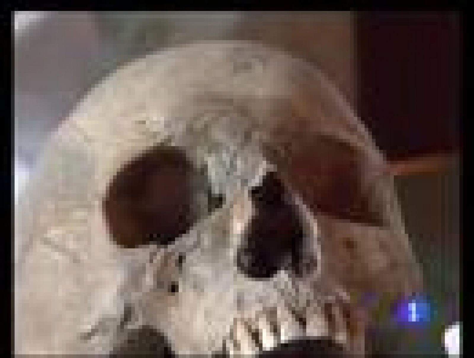 En Italia los antropólogos creen haber encontrado los restos de una mujer vampiro del siglo XVI | Ver