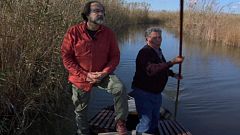 Aquí la tierra - El colorido de la Albufera de Valencia