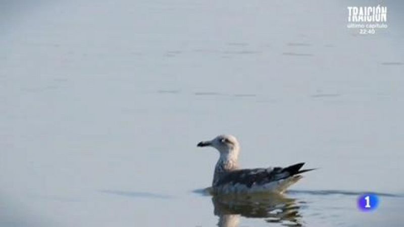 El colorido de la Albufera de Valencia